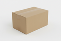 Shipping International Standard (Without Tracking)